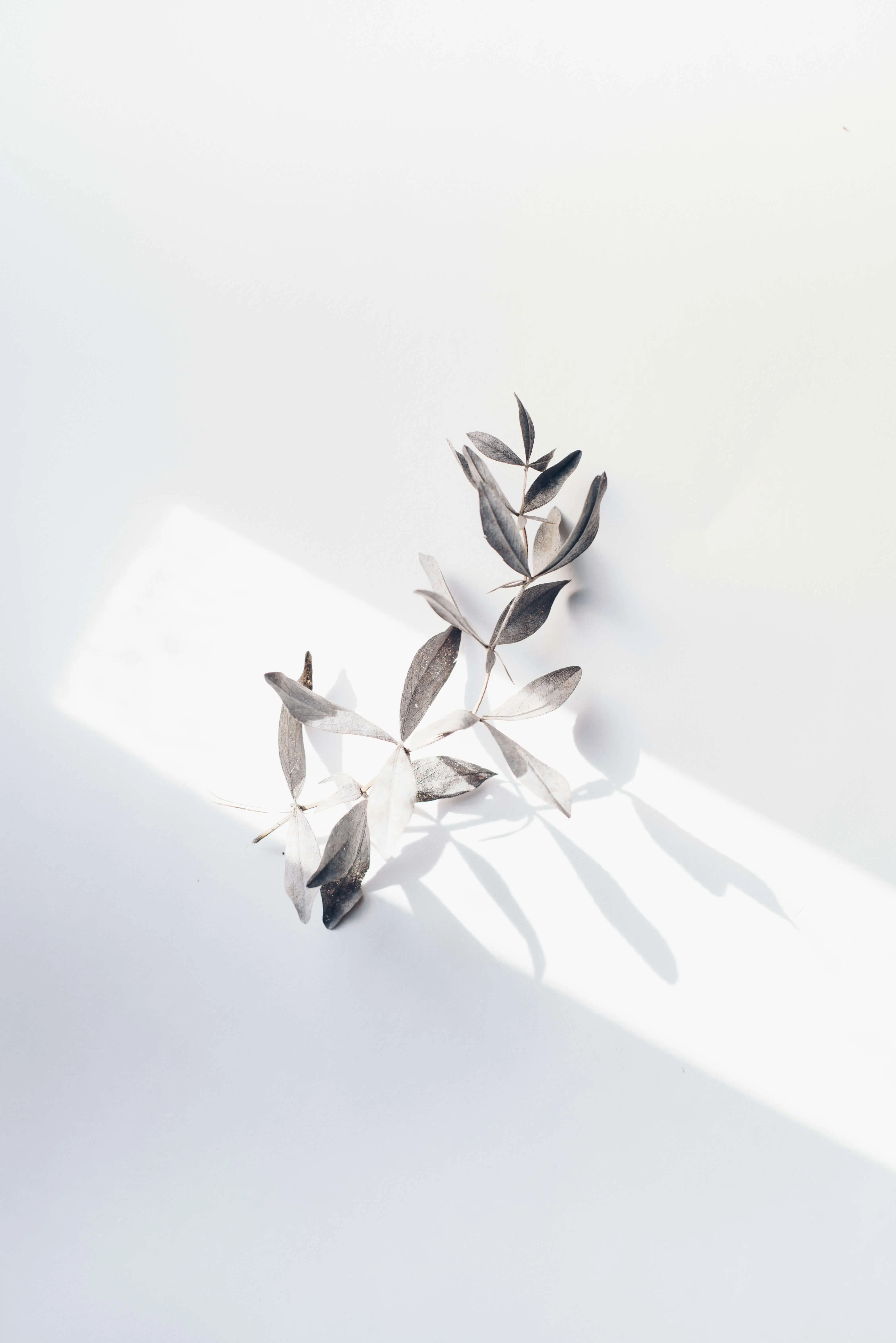 abstract